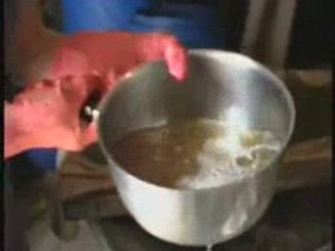 Recette du purin d'ortie