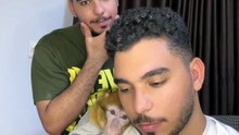 uper_video_1789918070991896