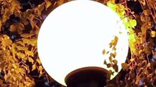 祁聿從小自閉又自我厭棄 鄰居大姐姐韓甜甜像小太陽照亮了他的心 從此後他一直默默關注 在背後出手趕走韓甜甜所有追求者 不惜跳級唸書以接近韓甜甜弟弟_1