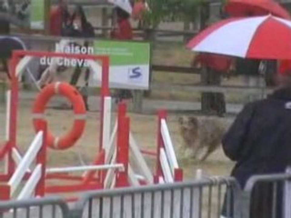 Austral et Sandrine Masters Agility 2008 1ère manche