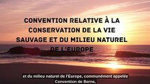Convention relative à la conservation de la vie sauvage et du milieu naturel de l'Europe