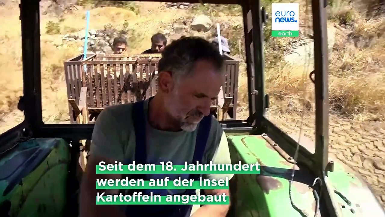 Naxos-Kartoffel: Jahrhundertelange Anbau-Tradition in Gefahr