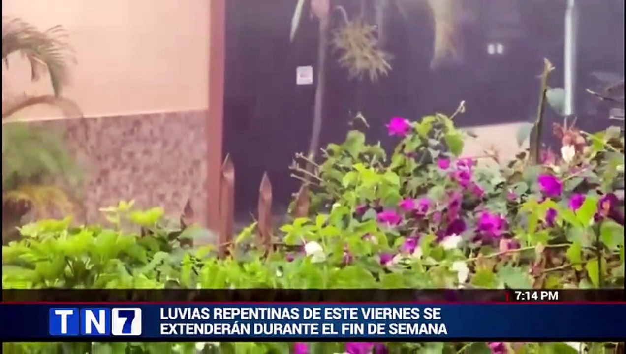 tn7-las-lluvias-repentinas-de-este-viernes-se-extenderán-durante-el-fin ...