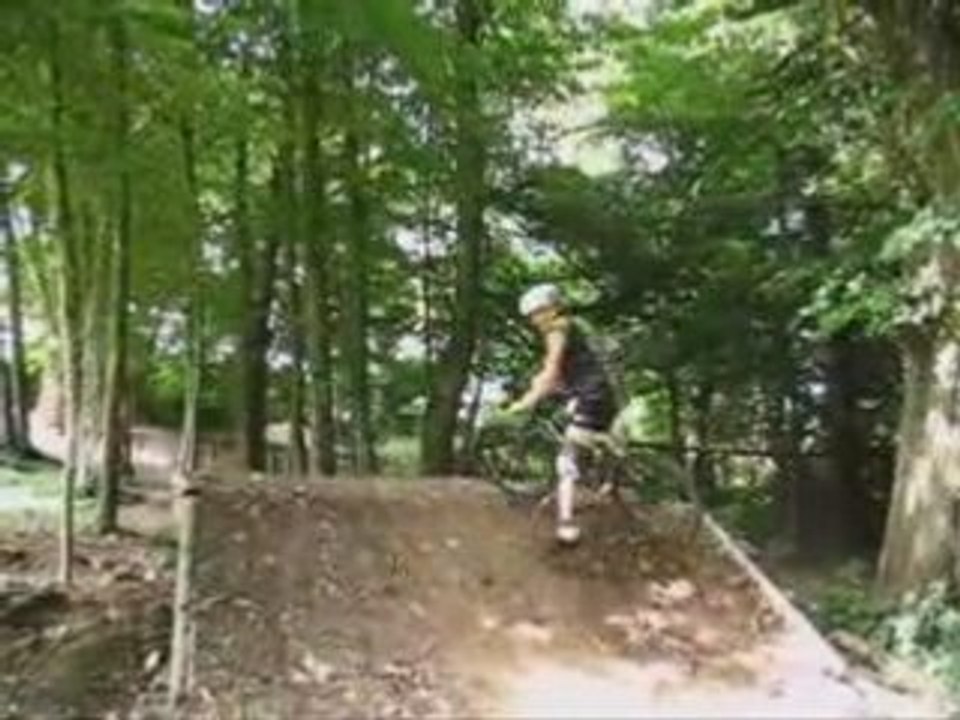 Wood land project 2