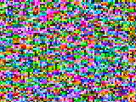 dominator festival 2008