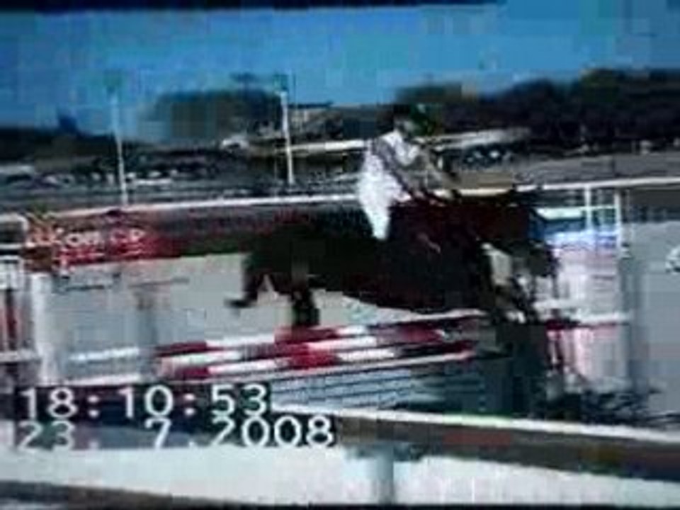 lamotte2008