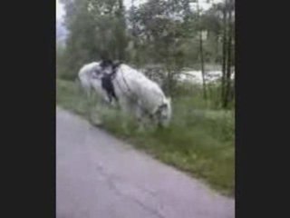 Quelques vidéos oubliées_0001