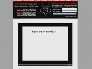 The Spider Web Marketing System and Why You Shouldn't Use It