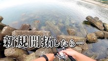 新規開拓した穴釣りポイントでカサゴ狙い｜テトラの隙間に仕掛けを落とすと反応はある？