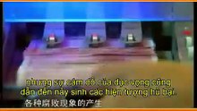 [vietsub] Trí tuệ của Kinh Dịch | Tập 44 Quẻ Cổ (thượng): Chỉnh trị hủ bại