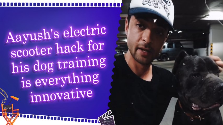 Aayush Sharma shares adorable video of training his dog with electric scooter says, 'Saturday kuch aisa tha'