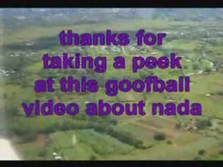 NY SEO Specialist silly Green Screen