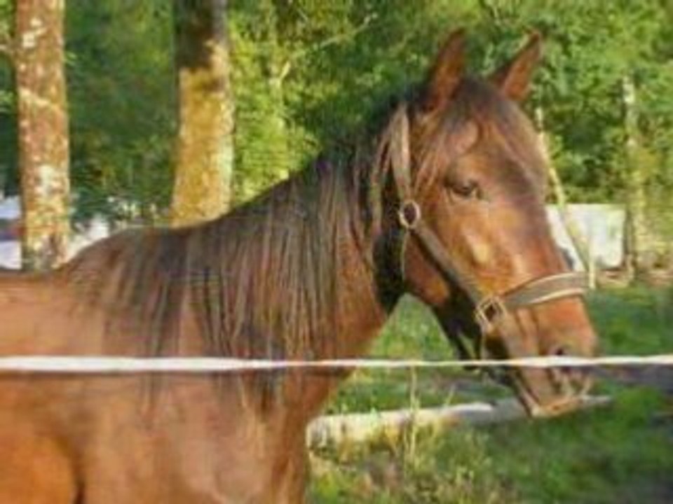 mon tf de 3 ans (les premières fois monté)