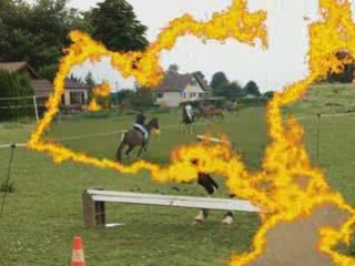 CSO Interne du Paddock d'Olina