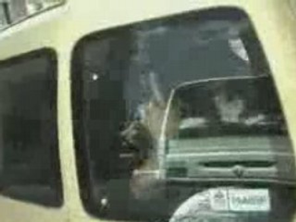 Truand 2 la galere zehef clip baise skyrock par zam prod