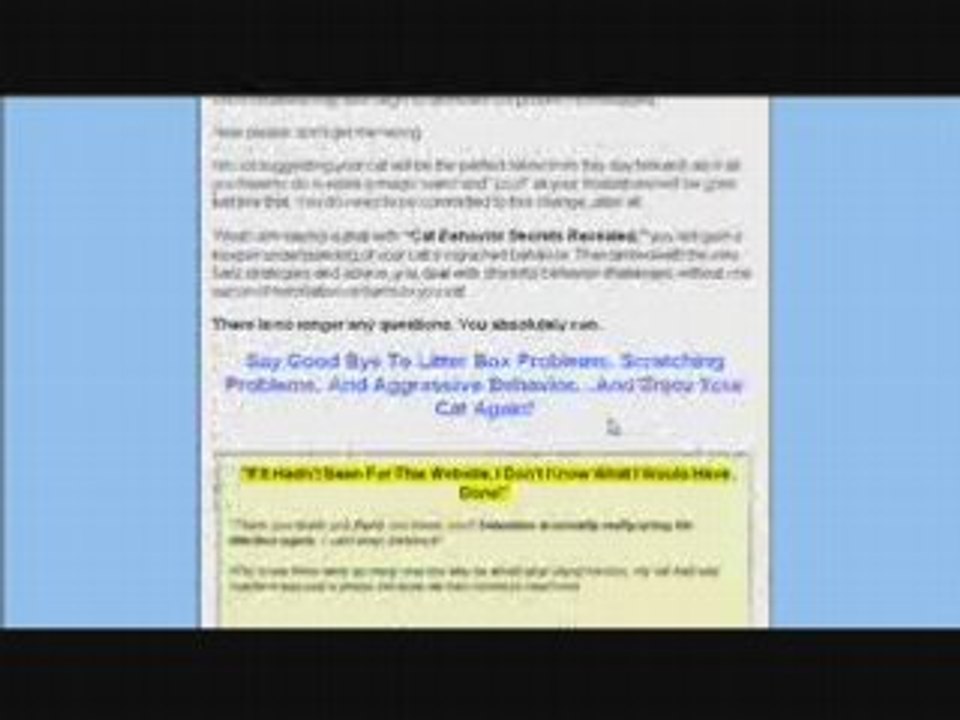 Cat Training - Stop Bad Cat Behaviour Today!