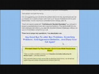 Cat Training - Stop Bad Cat Behaviour Today!