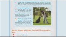 Dove Cresswell Dog and Puppy Training - Free Lesson