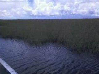 Air boat everglades