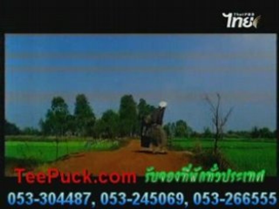 ปอป