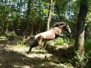 Travail en main : contre haut