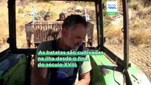 Batatas de Naxos: tradição agrícola secular da ilha grega está em risco