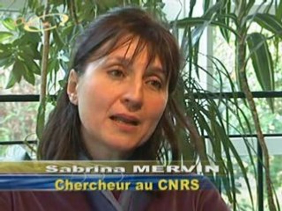 Qu’est-ce que le fiqh ?