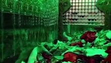 Ziyarat Roza Hazrat Abbas (A.S) & Andar Ka Rohani Nazara | Exclusive Karbala Inside View
