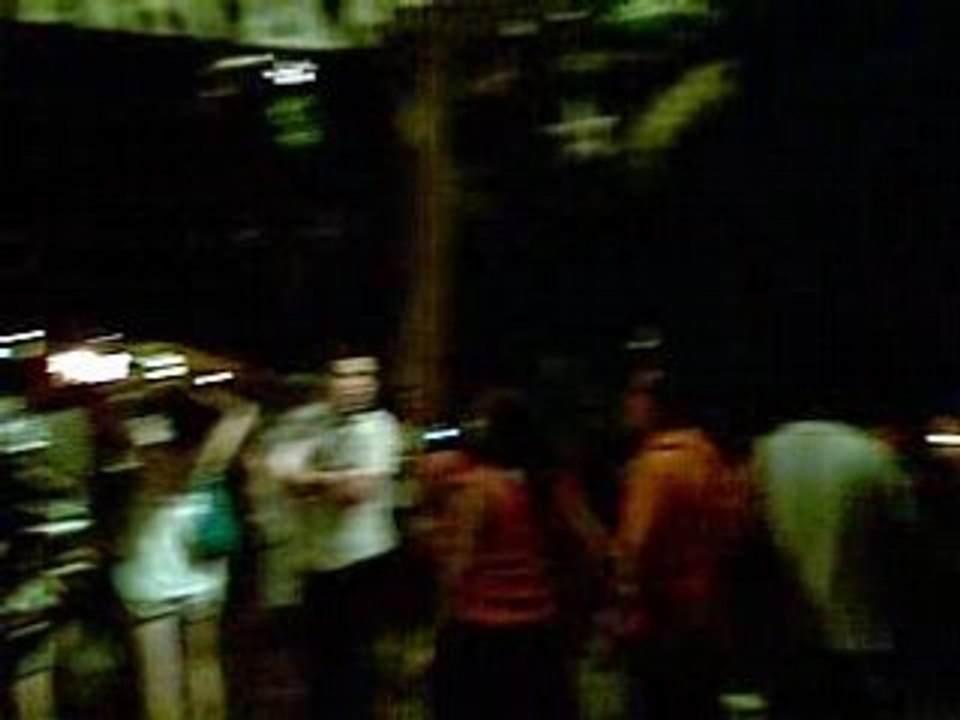 Night Safari