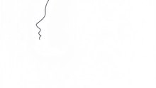 Creative Hand-Sketched Logo Animation