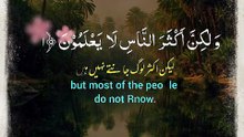 Islam s power