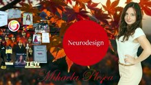 The Award-Winning Neurodesign Company On The Peak of Success On The Mountain of Success