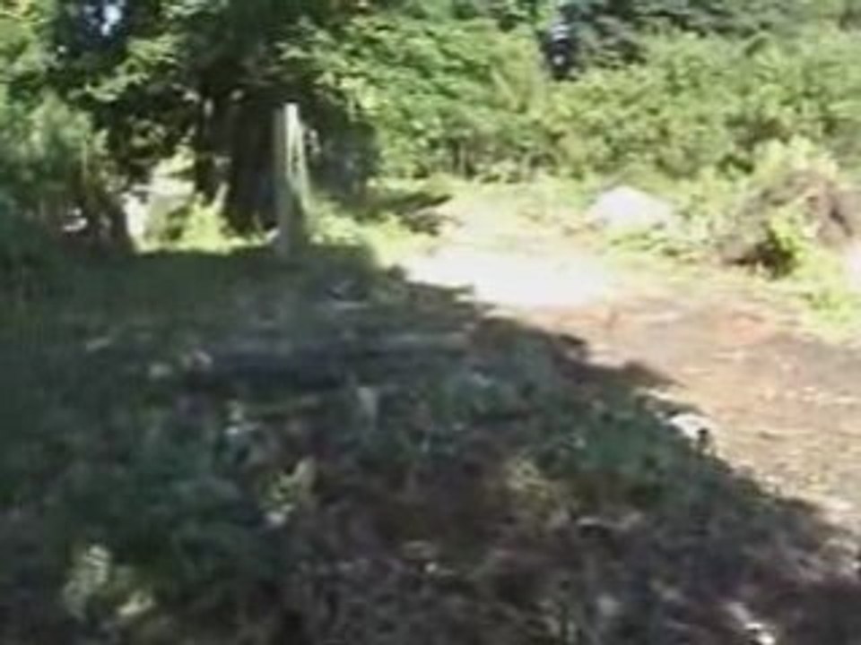 Haras Cysoing 2008 Aout