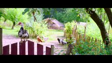Les blagues de Toto 2 - Classe verte