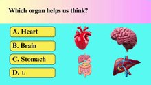 Guess the Body Part! Interactive Quiz for Children | Learn & Play