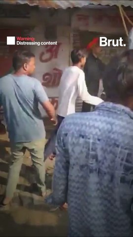 Cow vigilantes take the law in their hands... again