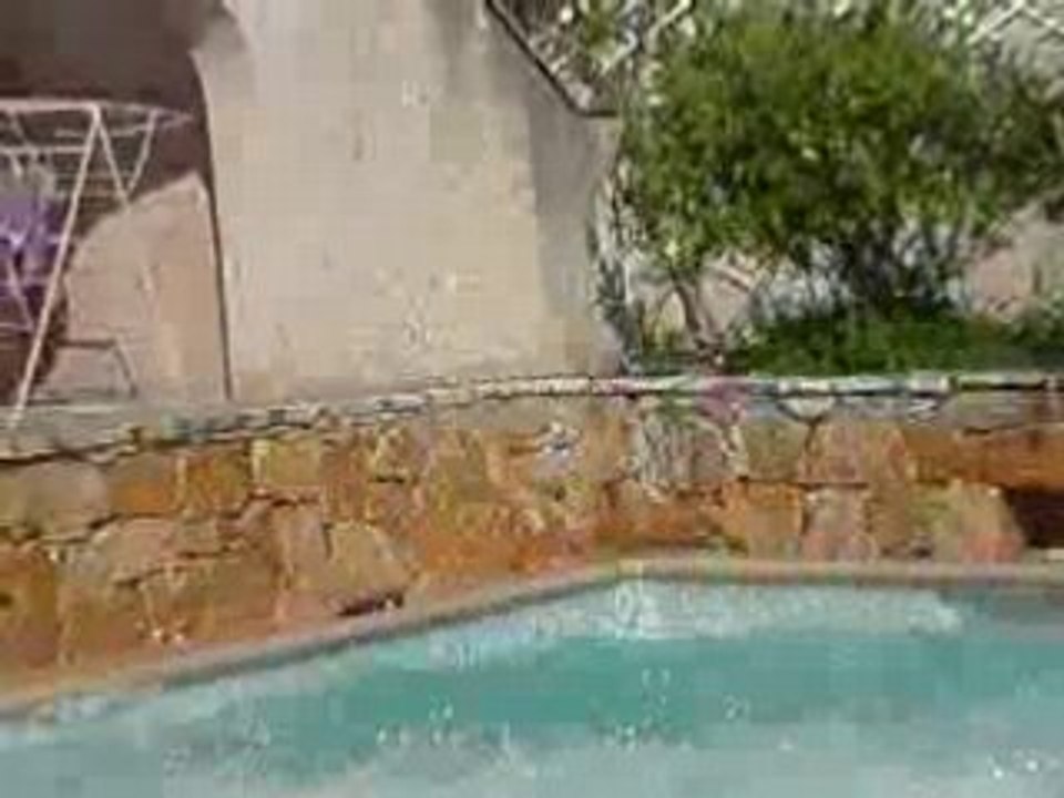 big saut