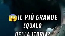 🔥🦈 MEGALODON _ La Verità Sullo Squalo Più Grande di Sempre 😱