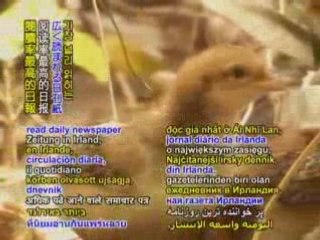 What if the United Kingdom adopted a no meat diet?