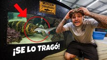 ¡Se comieron a mi tiburón!