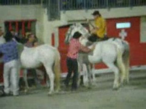 SAUT DE CHEVAL A CHEVAL DADOU