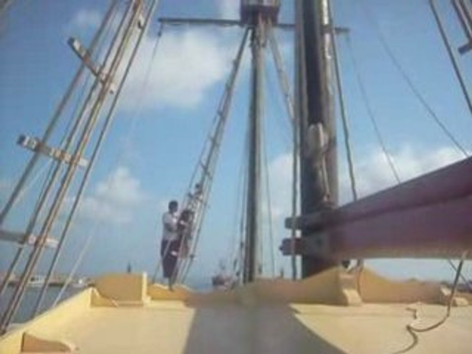 S6303686