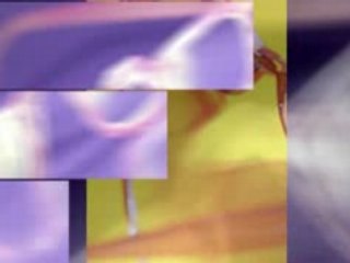 Optician Internet Marketing Video Online Advertising