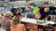 Forest Cat and All Breeds Club Cat Show at Berkeley