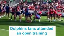 Dolphins fans turn out for open training session