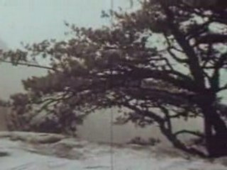 Historical Civil War Reenactment Movie from the 1950’s