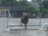 Saut a cheval de Charley