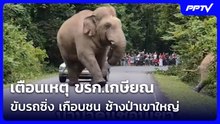เตือนเหตุ ขรก.เกษียณ ขับรถซิ่ง เกือบชน ช้างป่าเขาใหญ่| โชว์ข่าวเช้านี้ |  22 ก.ย. 69