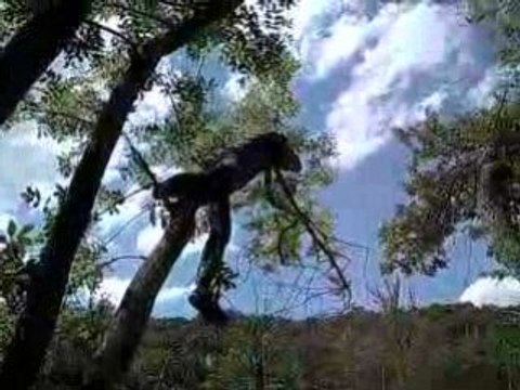 yves le ouf ouf du 54