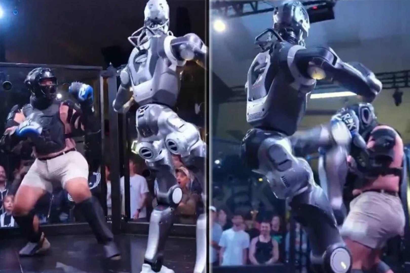 Primera pelea de MMA entre un humano y un robot 'Terminator': un desenlace "aterrador"